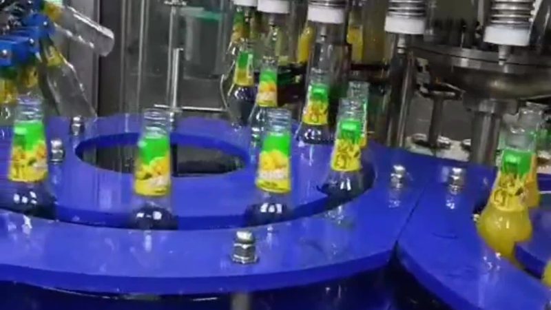 食品机械十大品牌背后的真实差距：从一条生产线说起